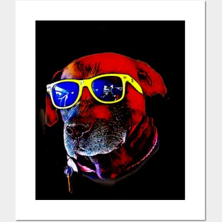 cool dog in sunglasses Posters and Art